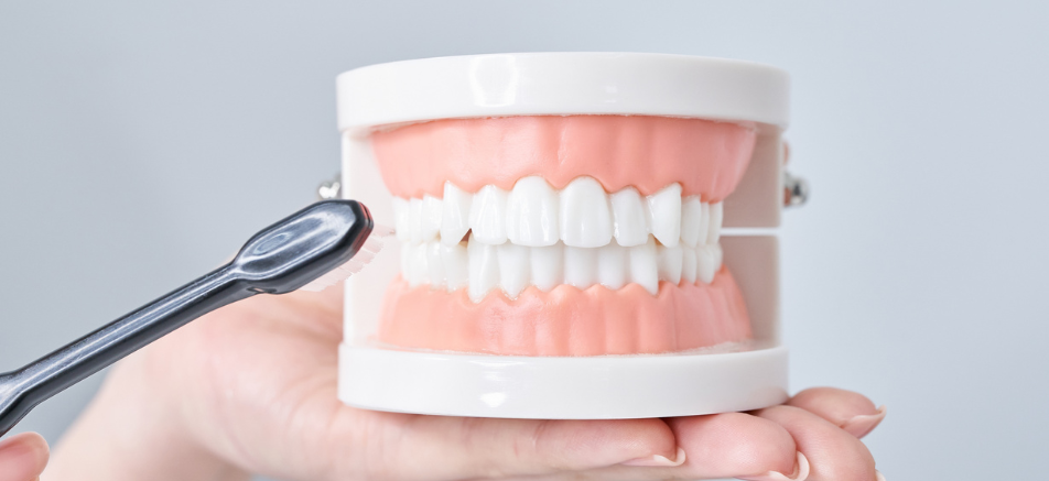 虫歯予防指導|refino dental